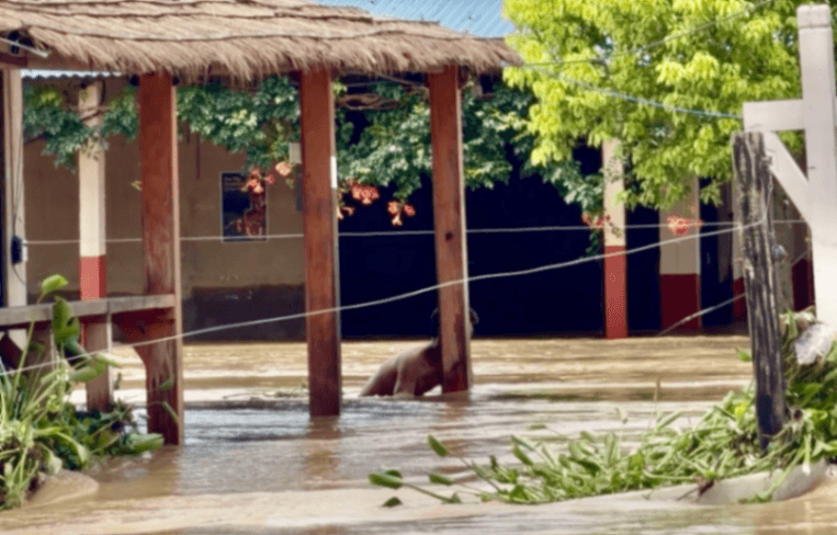 How Did the Recent Flood Affect Sauraha? — Sauraha Nepal travel guide