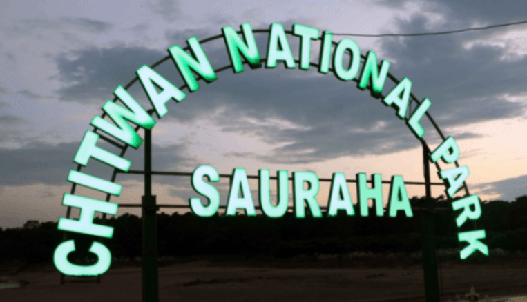 10 Things to Do in Sauraha, Nepal: The Ultimate Travel Guide (2026) — Sauraha Nepal travel guide